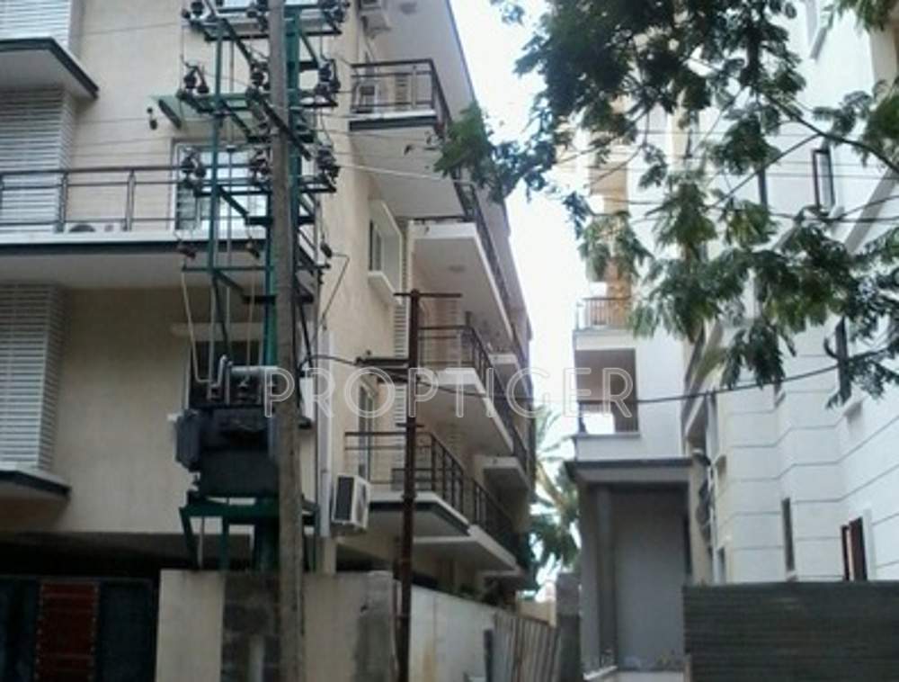 Images for Elevation of Zaffars Sterling Aster