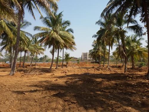  aarna Images for Amenities of Ashoka Aarna