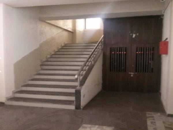  kingston-crown Others