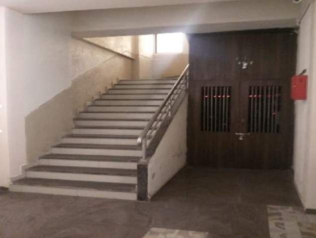  kingston crown Others