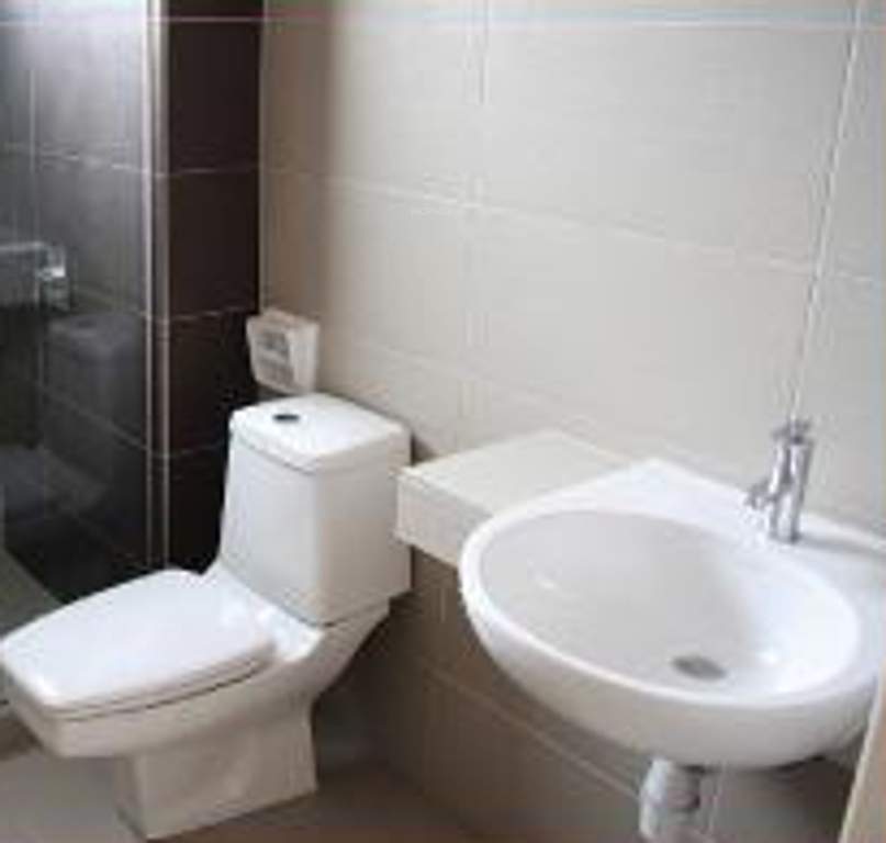  kingston crown Images for Main Other of Viva Kingston Crown