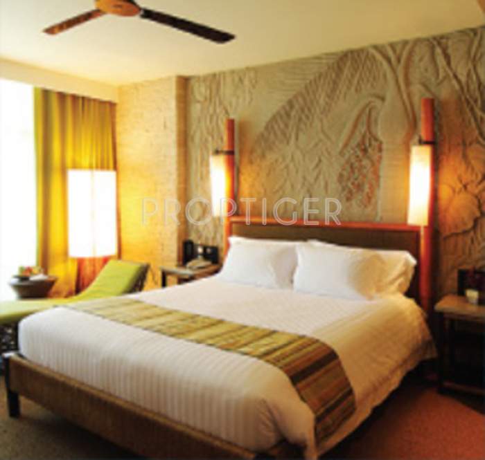  kingston crown Images for Main Other of Viva Kingston Crown