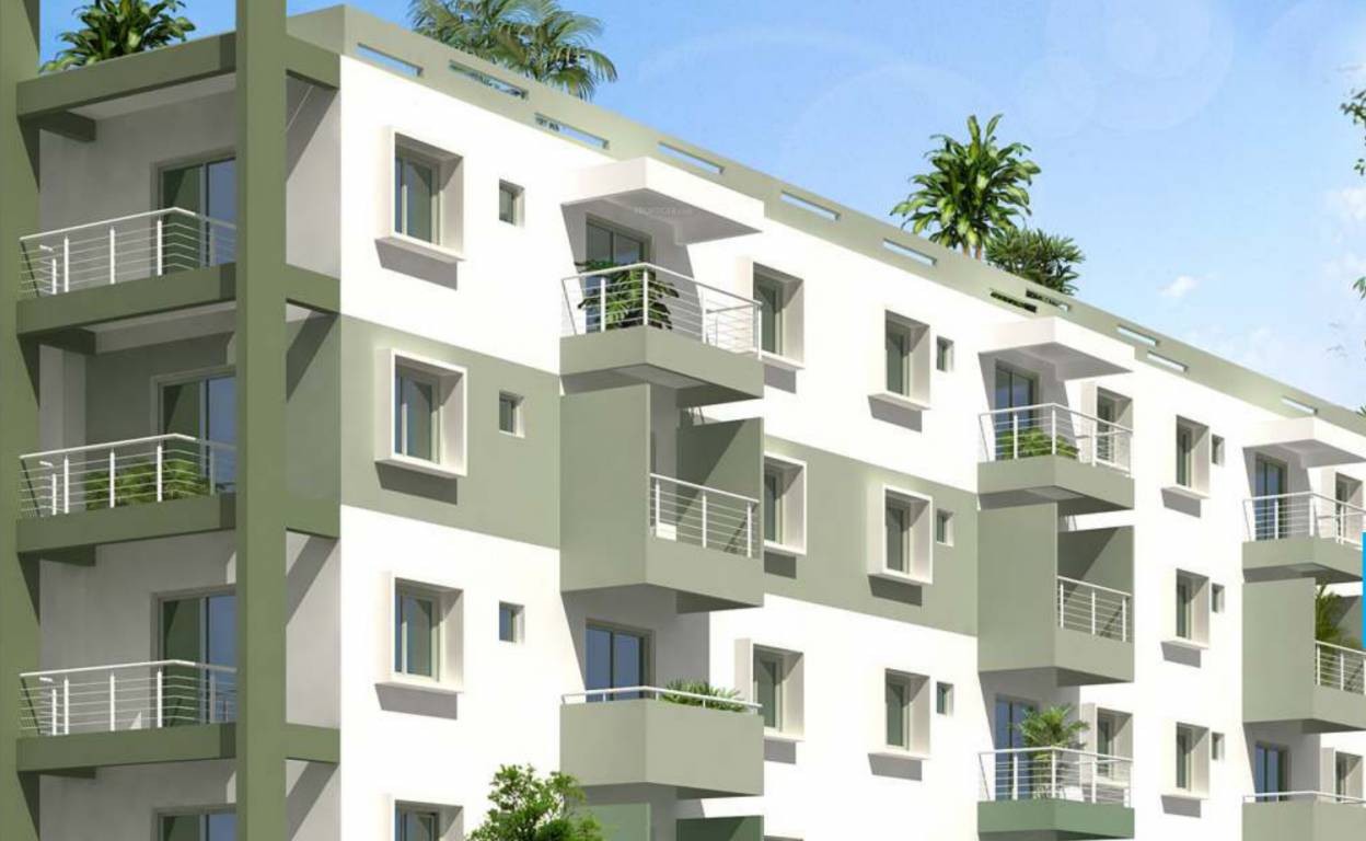 Images for Elevation of Aspen Gold