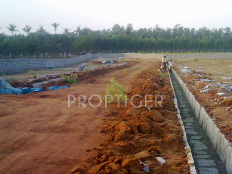 Images for Elevation of Transcity Royal