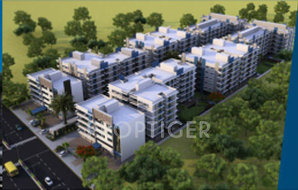 Images for Elevation of Iris Blueiris I