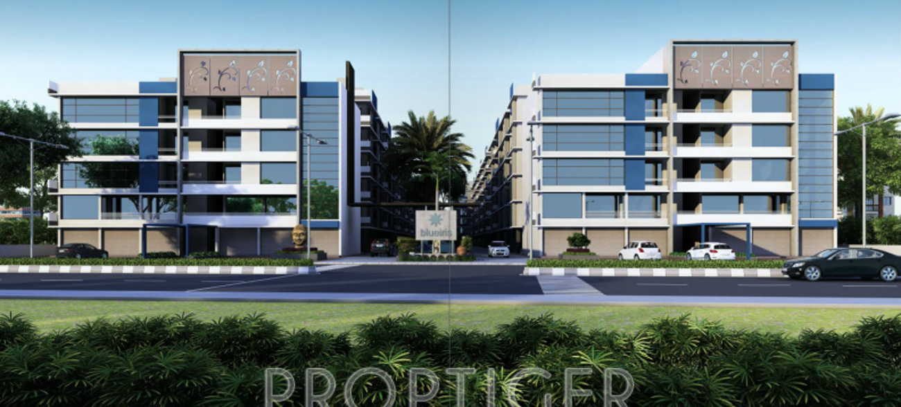 Images for Elevation of Iris Blueiris I