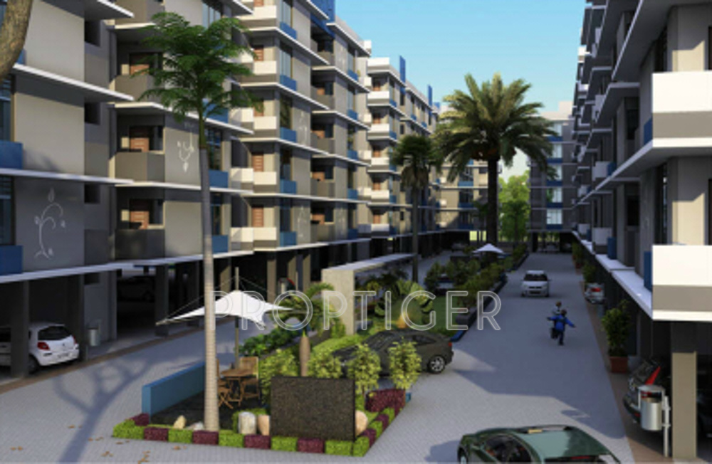 Images for Elevation of Iris Blueiris I