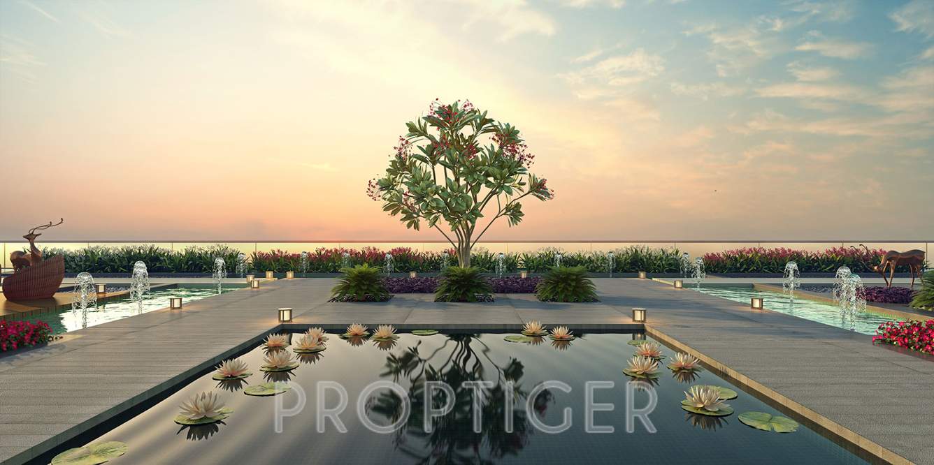 Images for Amenities of Acropolis Voyage To The Stars