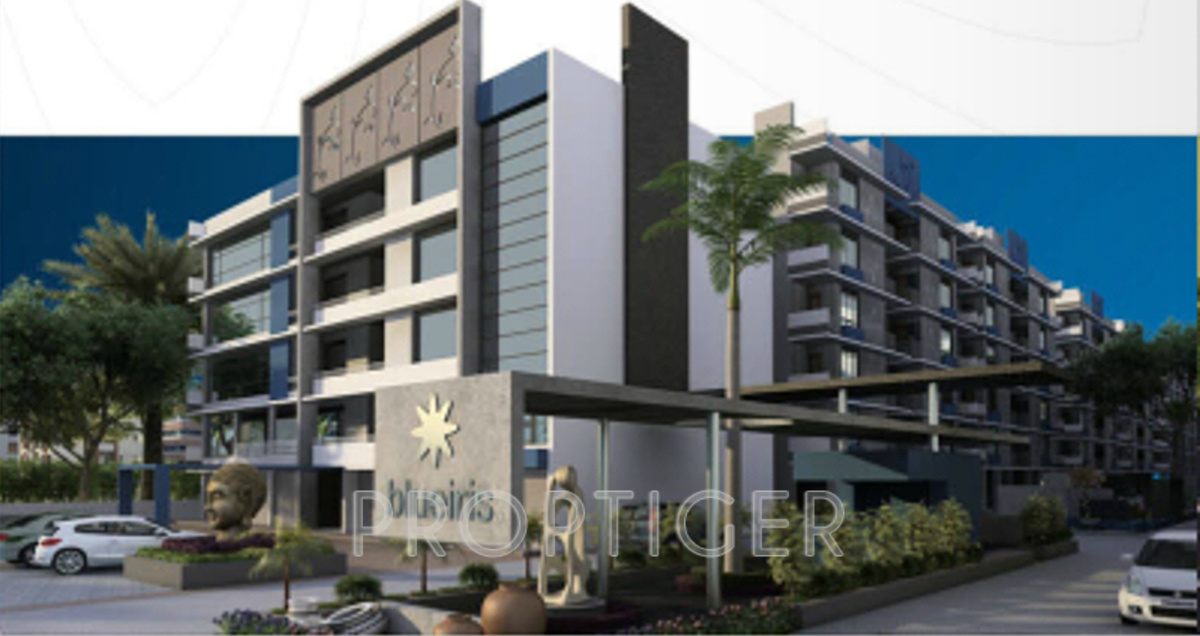 Images for Elevation of Iris Blueiris II