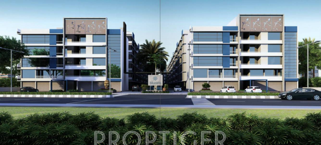 Images for Elevation of Iris Blueiris II