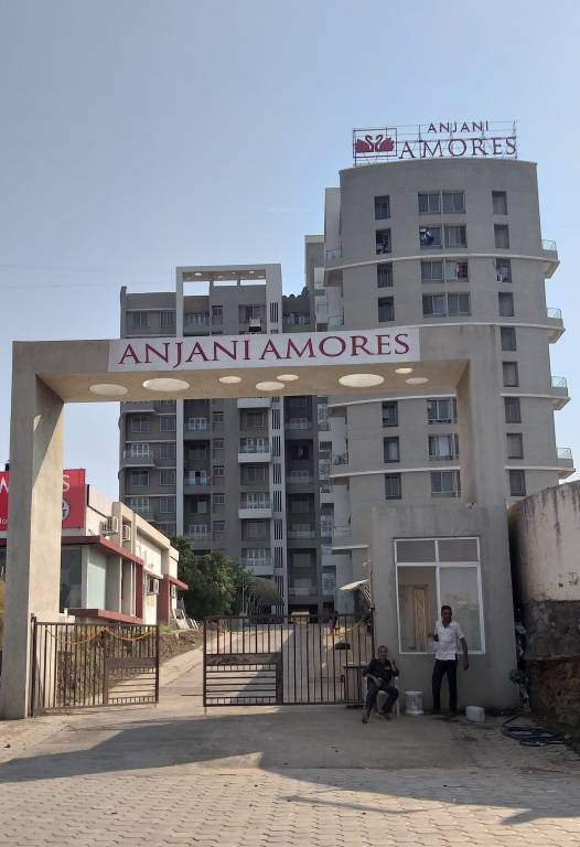  amores Images for Project