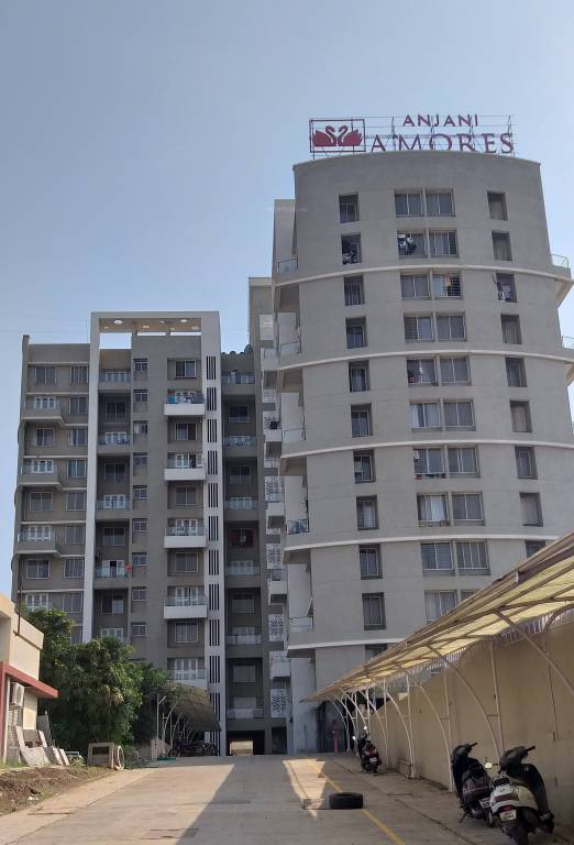  amores Images for Project