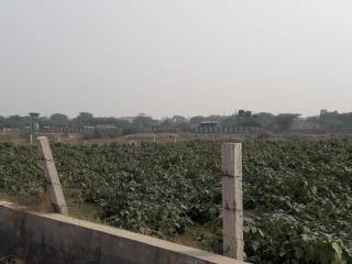 Project Image Project Image