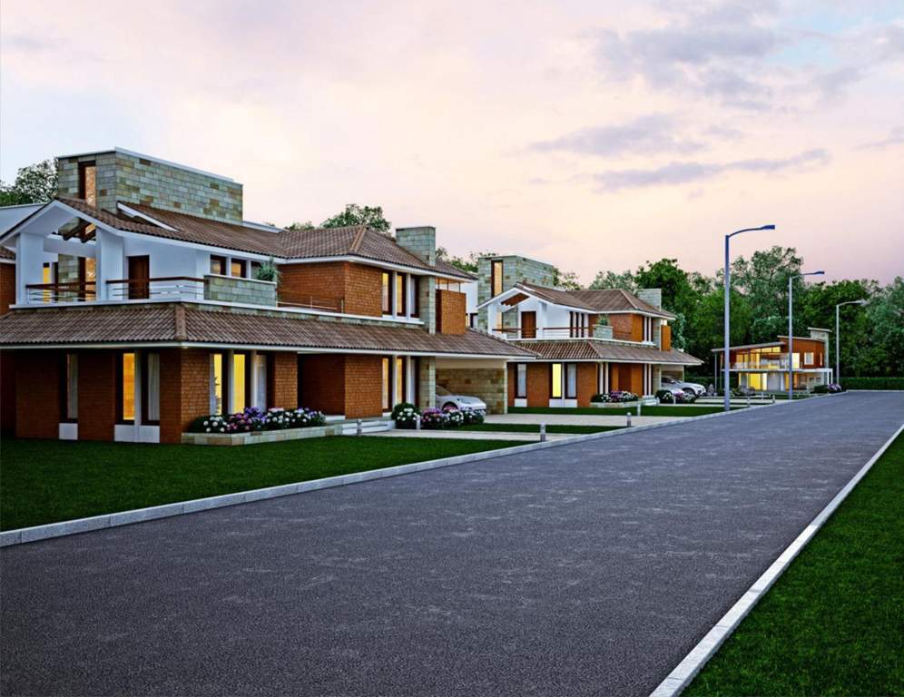  gold crest Images for Elevation of Elysium Gold Crest