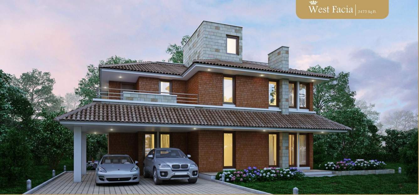  gold crest Images for Elevation of Elysium Gold Crest