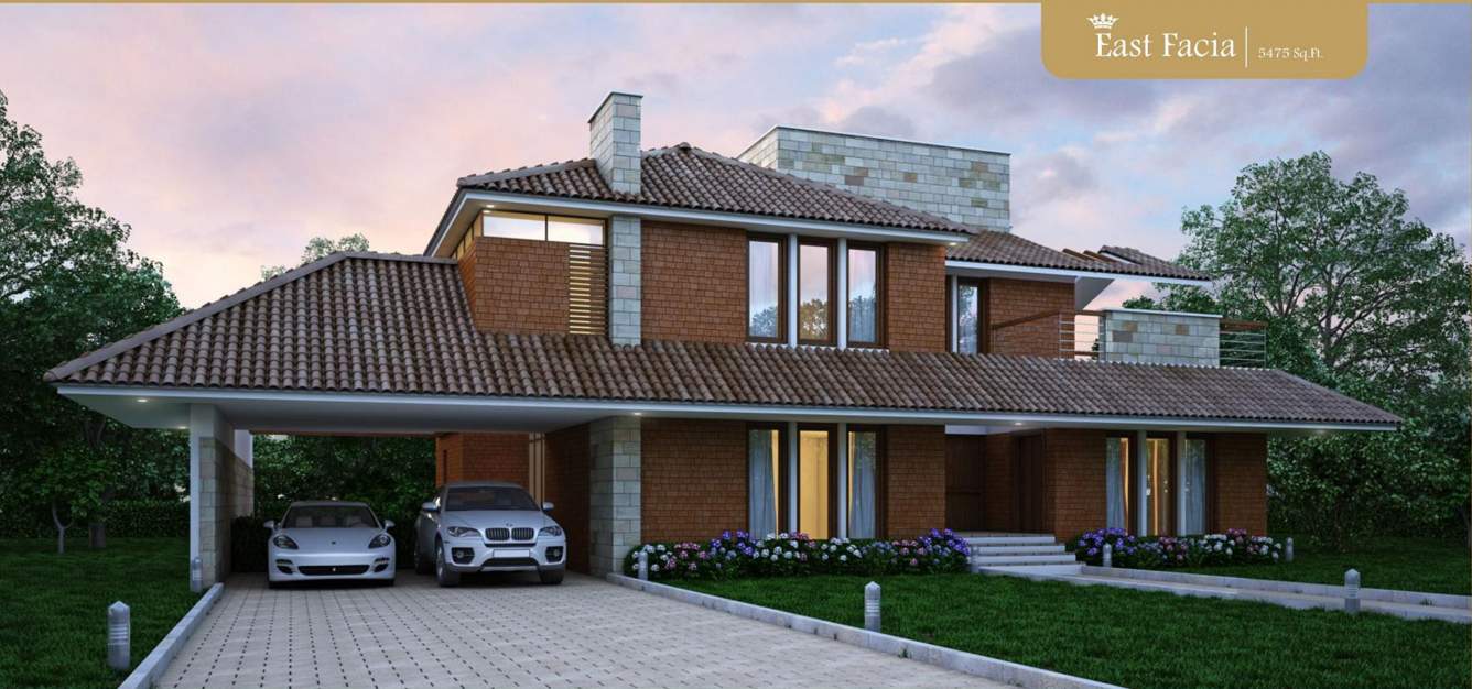  gold crest Images for Elevation of Elysium Gold Crest