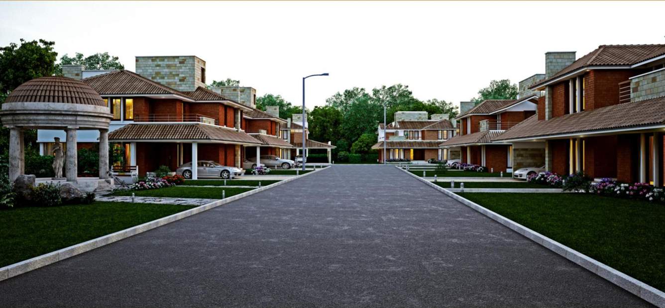  gold crest Images for Elevation of Elysium Gold Crest