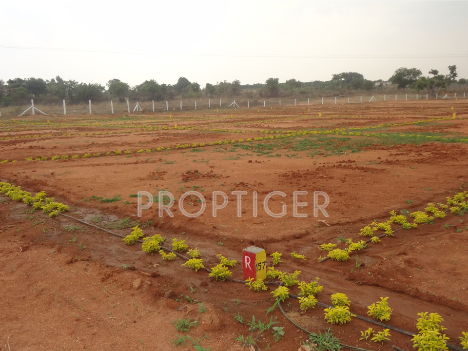 Images for Main Other of Bhoomi Prakruthi Vanam