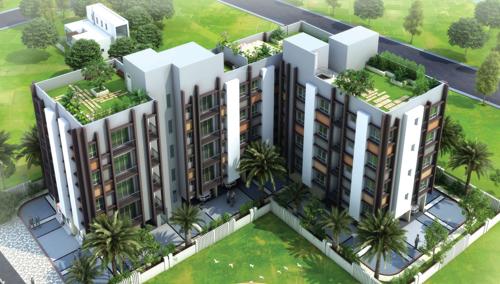  crossword Images for Elevation of Magnolia Crossword