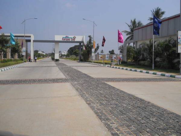  fortune-city Elevation