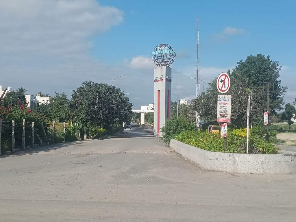  fortune city Plot