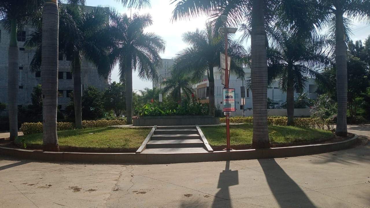  fortune city Plot