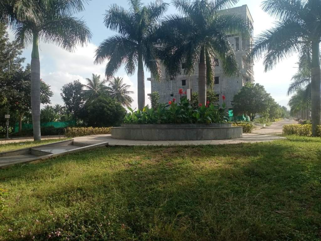  fortune city Plot