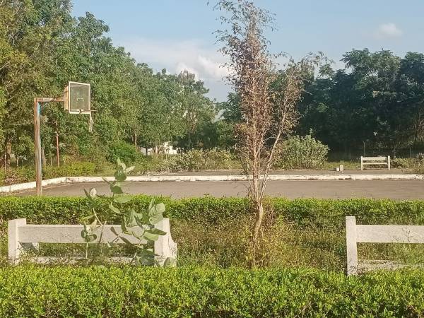 Plot fortune-city Plot