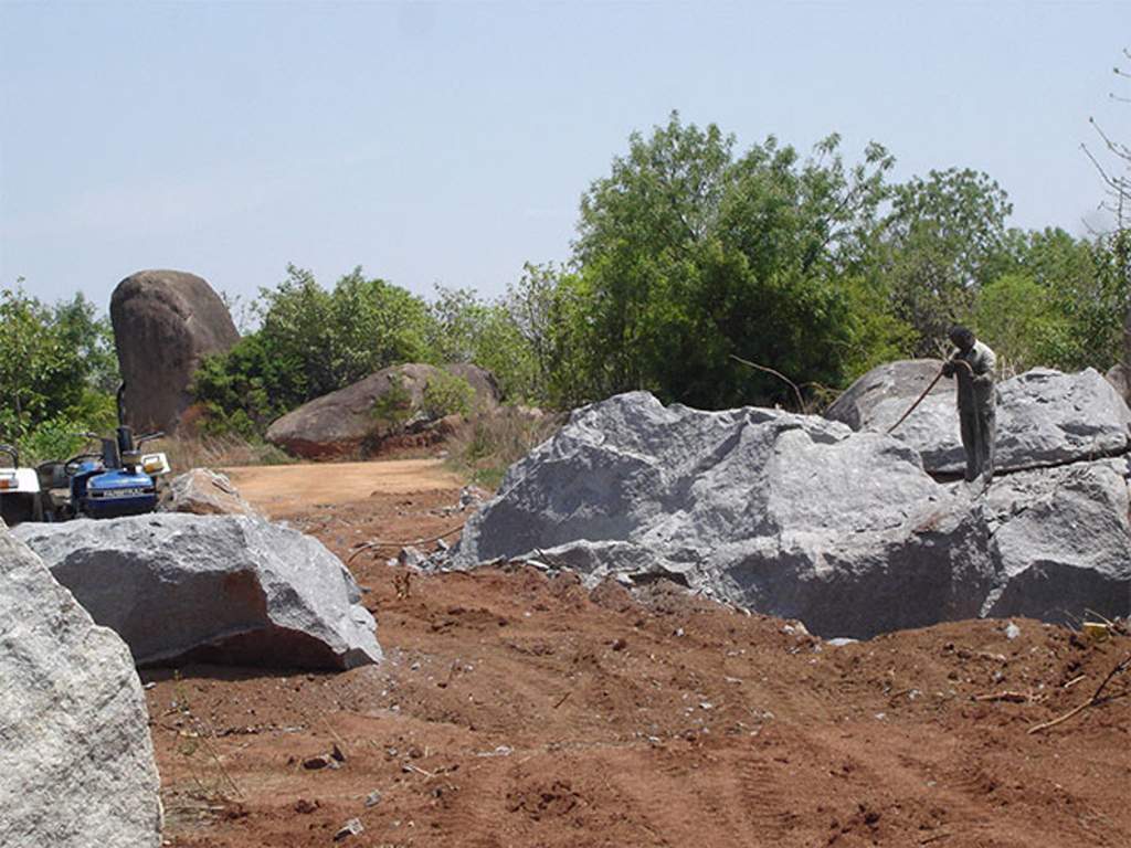 Images for Main Other of Suchirindia Koral Reef
