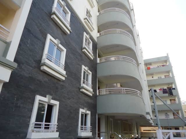  bliss meadows Elevation