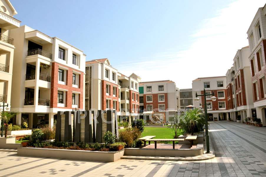  flora Images for Elevation of Shaligram Flora