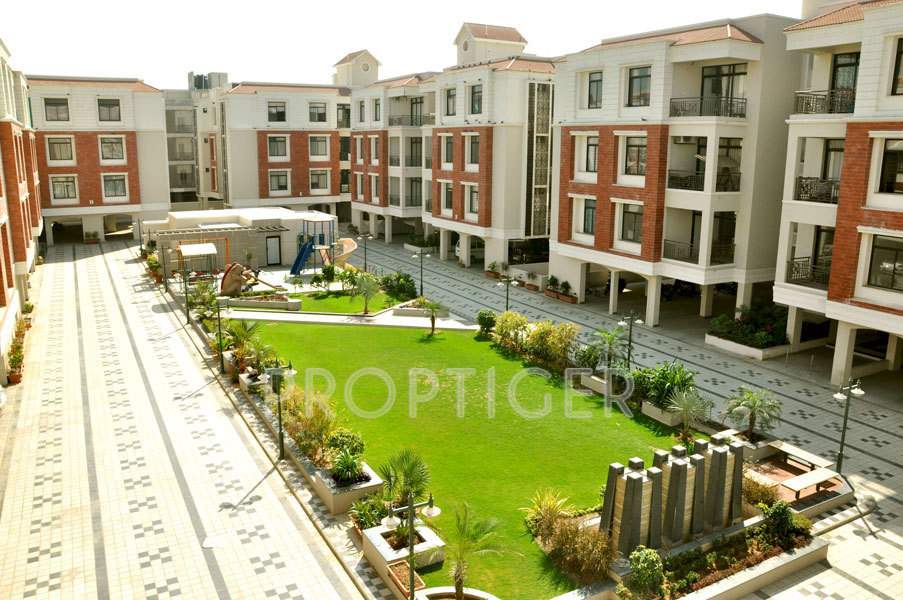  flora Images for Elevation of Shaligram Flora