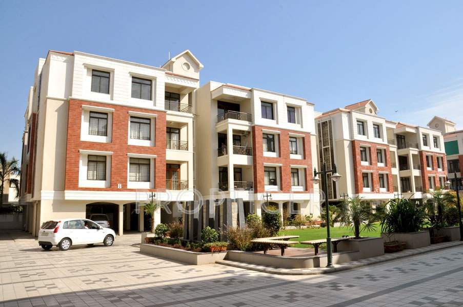  flora Images for Elevation of Shaligram Flora