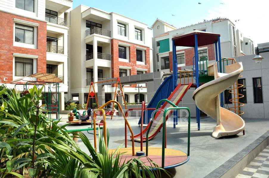  flora Images for Elevation of Shaligram Flora