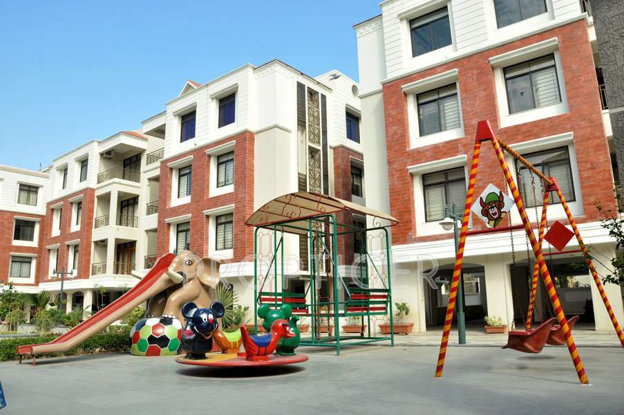  flora Images for Elevation of Shaligram Flora