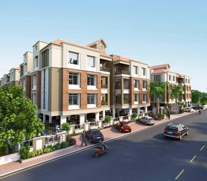  flora Images for Elevation of Shaligram Flora