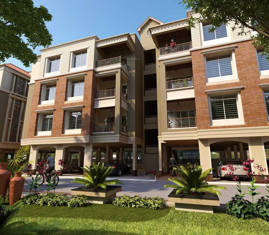  flora Images for Elevation of Shaligram Flora