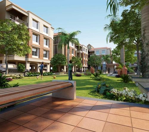  flora Images for Elevation of Shaligram Flora