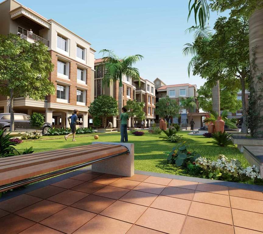  flora Images for Elevation of Shaligram Flora