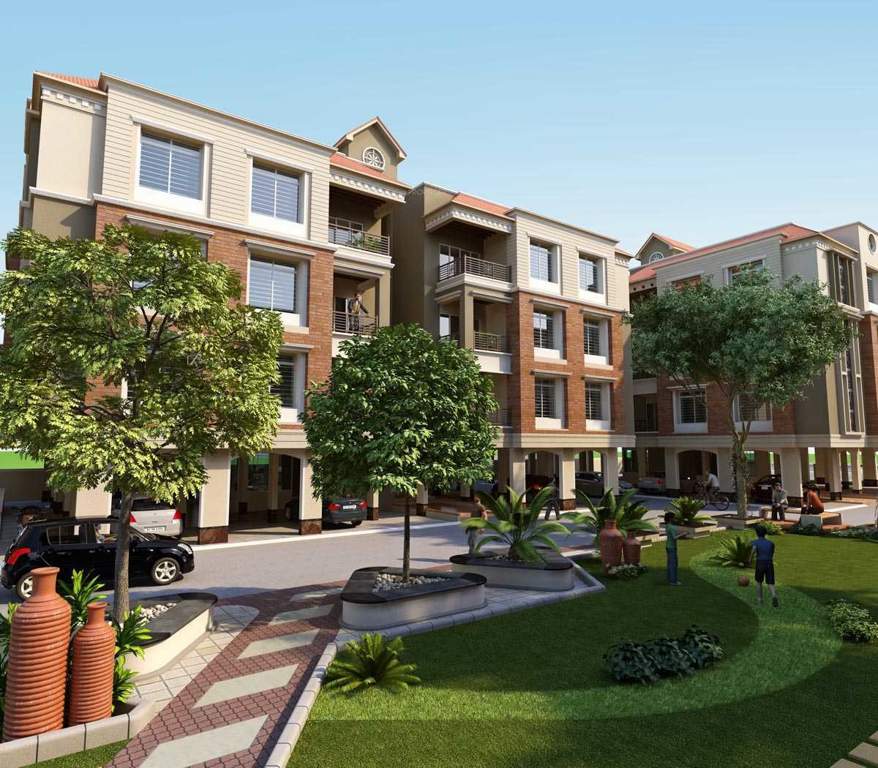  flora Images for Elevation of Shaligram Flora