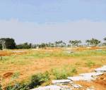 Images for Elevation of ASB Neha Residency