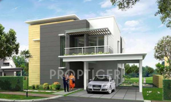 Images for Elevation of Varsha Builders Maple Villas Images for Elevation of Varsha Builders Maple Villas