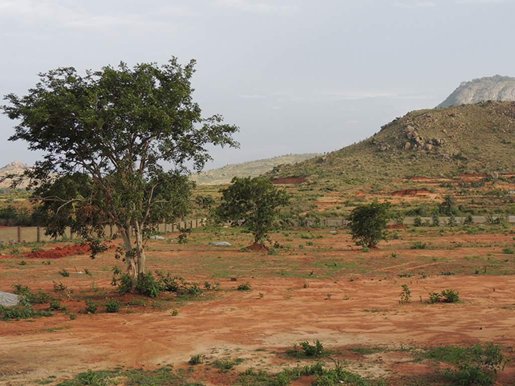 Images for Main Other of Wellnest Prashanthi Nest