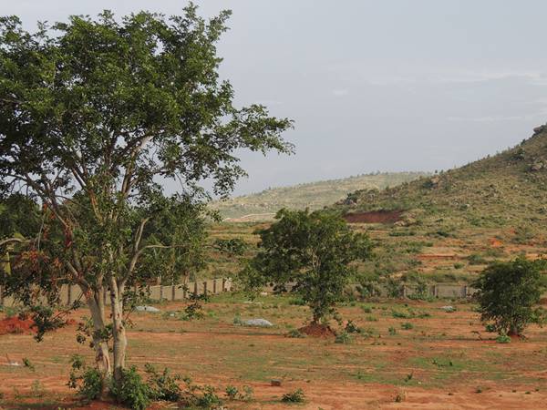 Images for Main Other of Wellnest Prashanthi Nest