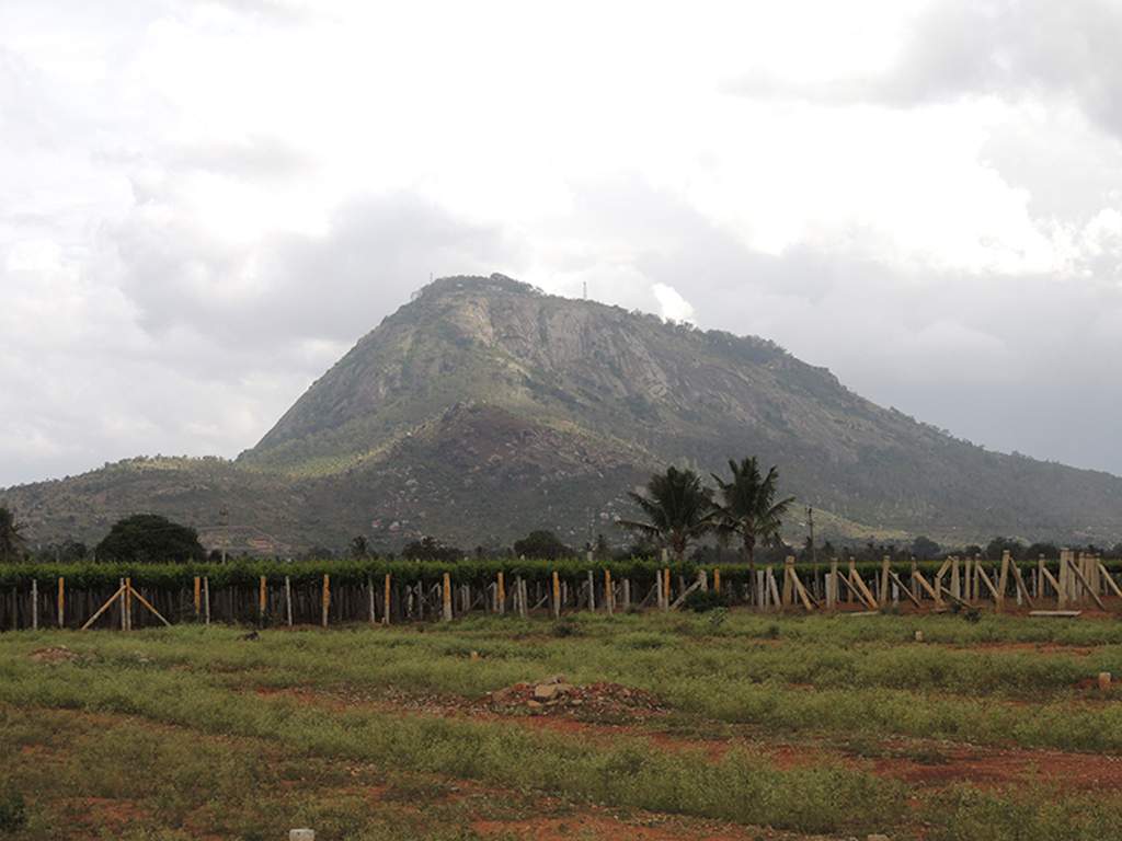 Images for Main Other of Wellnest Hill Crest