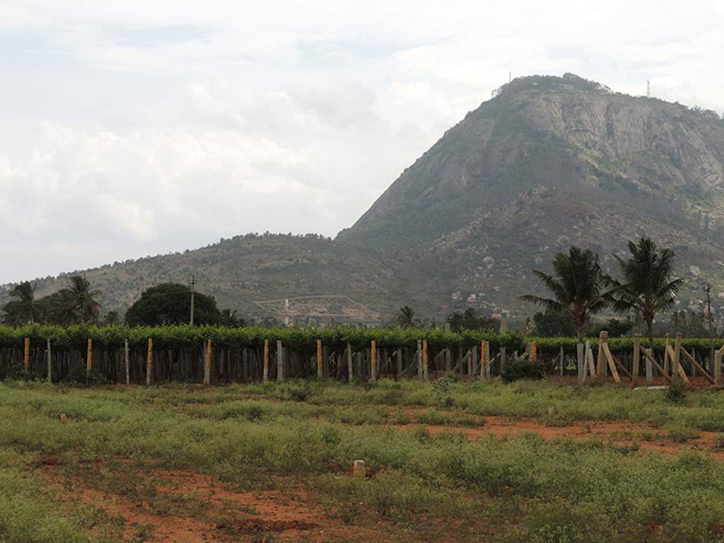 Images for Main Other of Wellnest Hill Crest
