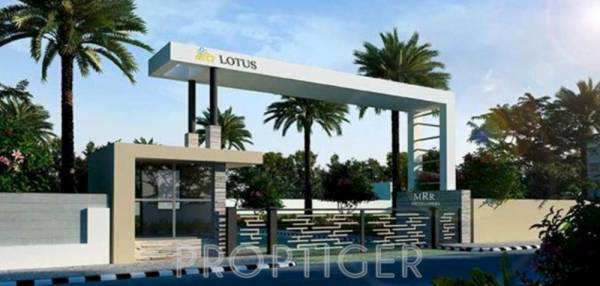 Images for Main Other of MRR Lotus