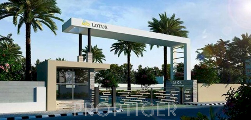 Images for Main Other of MRR Lotus