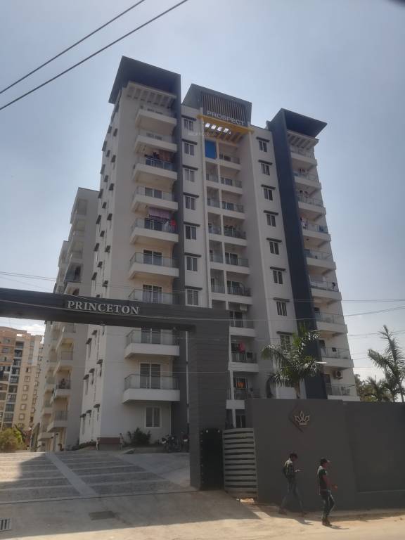  princeton Images for Project