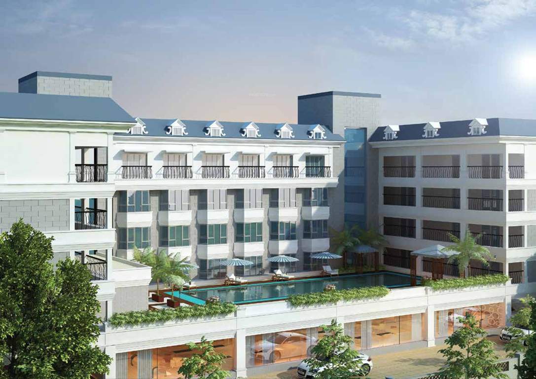 the golden mile Images for Elevation of Saltee The Golden Mile